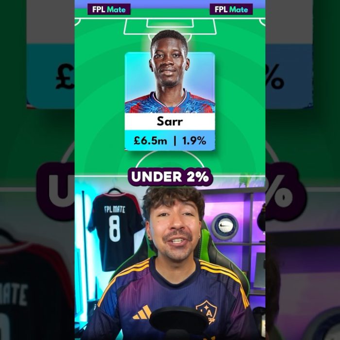 The BEST hidden gems in FPL 2024/25 GW1! 💎🤫 #fpl